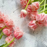 Fringed Tulip * 10